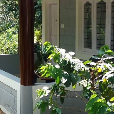 מלון מדיקרי Leisure Vacations Whispering Woods מראה חיצוני תמונה