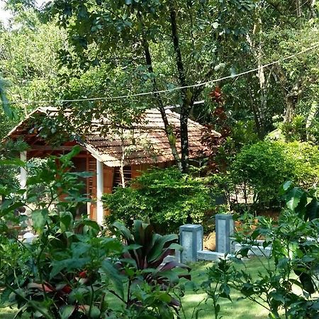 מלון מדיקרי Leisure Vacations Whispering Woods מראה חיצוני תמונה