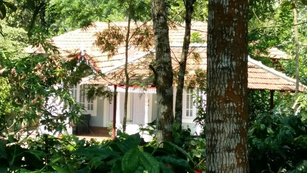 מלון מדיקרי Leisure Vacations Whispering Woods מראה חיצוני תמונה