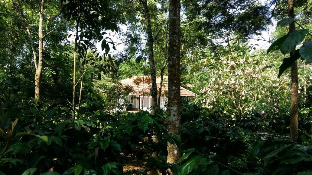 מלון מדיקרי Leisure Vacations Whispering Woods מראה חיצוני תמונה