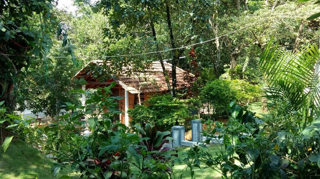 מלון מדיקרי Leisure Vacations Whispering Woods מראה חיצוני תמונה